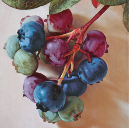 Heidelbeeren,1999,OOC, 40x40 cm