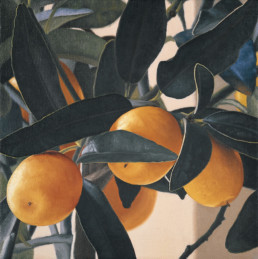 Kumquats III, 1999, OOC, 40 x 40 cm