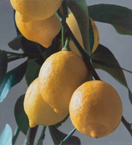 Zitronen VIII, 2022, OOC, 55 x 50 cm